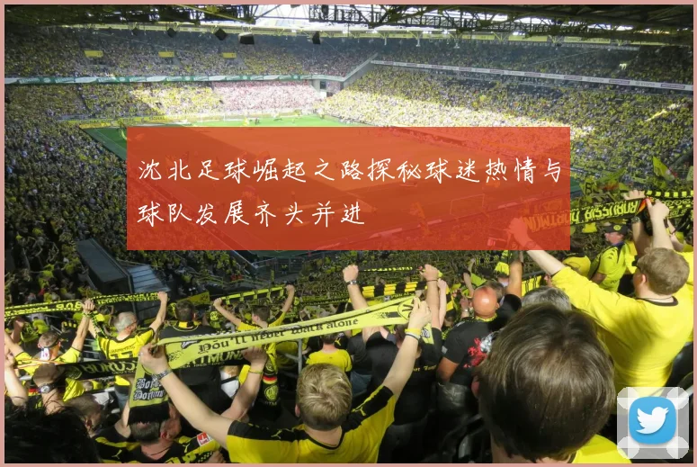 沈北足球崛起之路探秘球迷热情与球队发展齐头并进